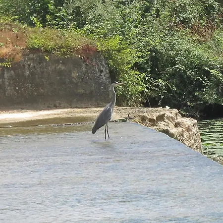 Le Moulin De Monpoisson *